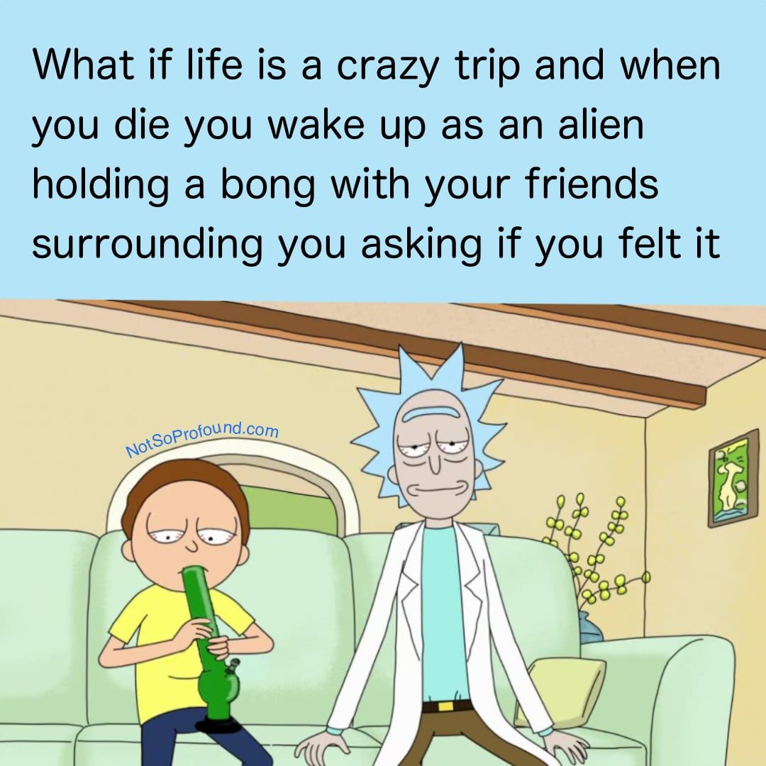 what if life is a crazy trip and when you die you wake up as an alien holding a bong with your friends surrounding you asking if you felt it 