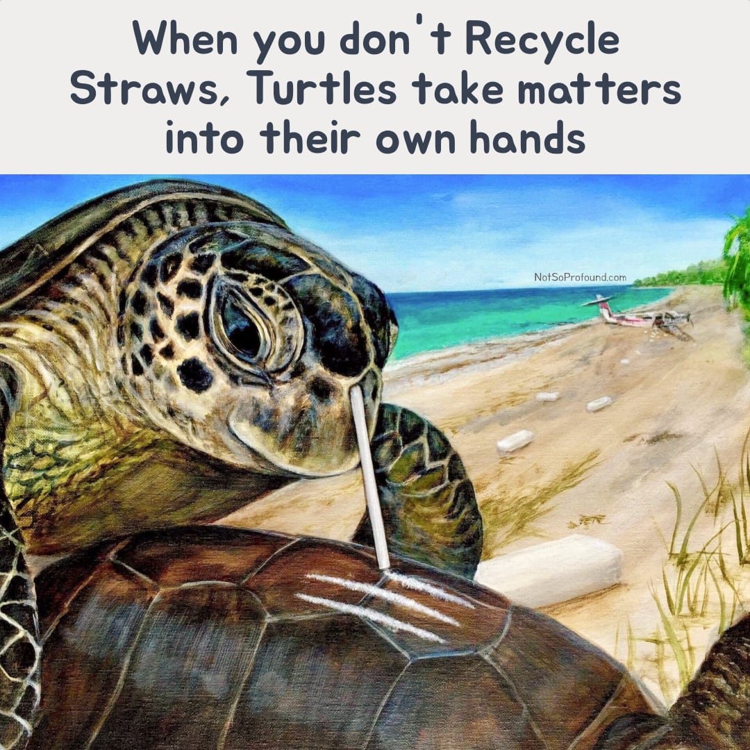 Instead of only throwing straws in the ocean, throw some drugs in there as well — Funny turtle snorting cocaine meme