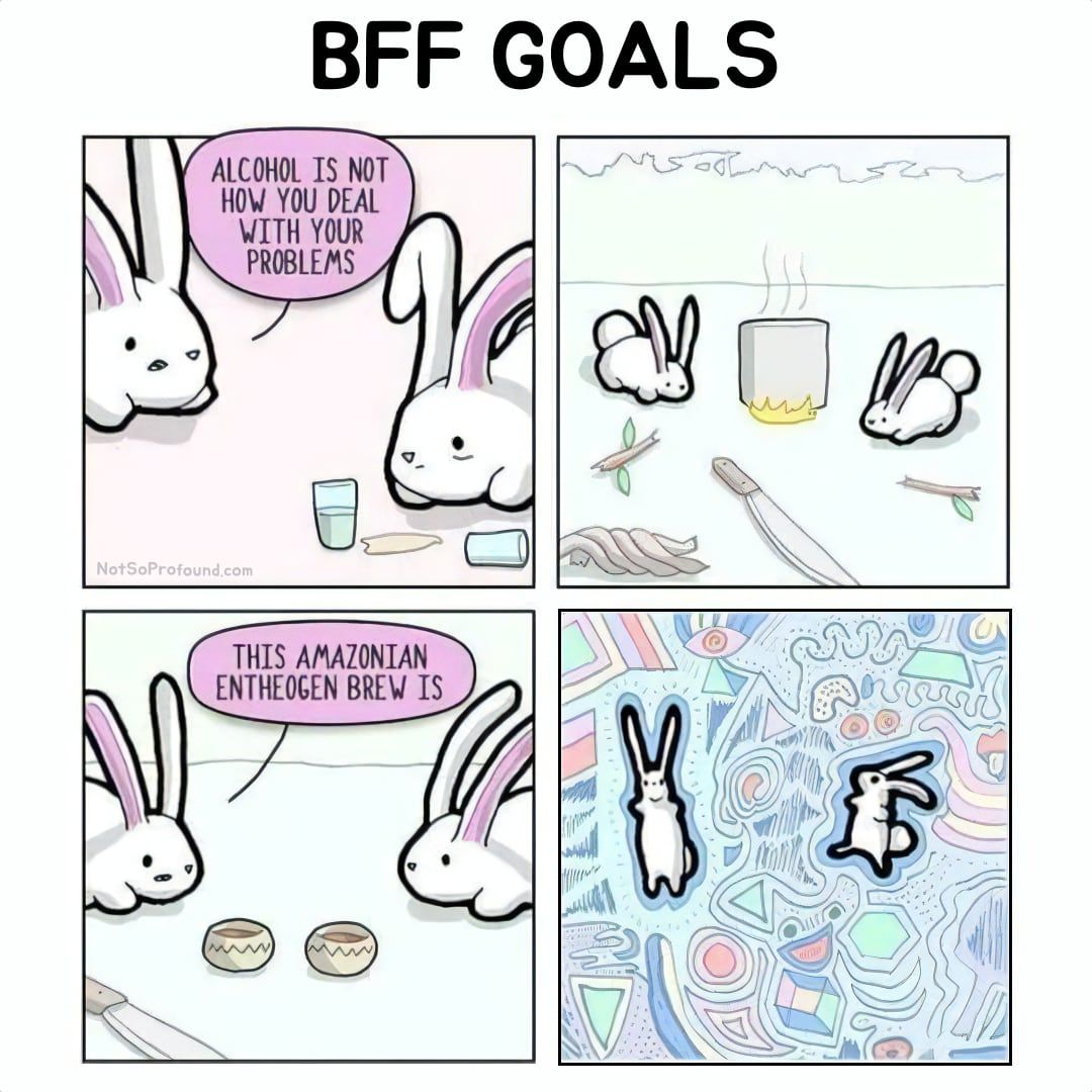 Funny psychedelic & ayahuasca meme with two bunnies