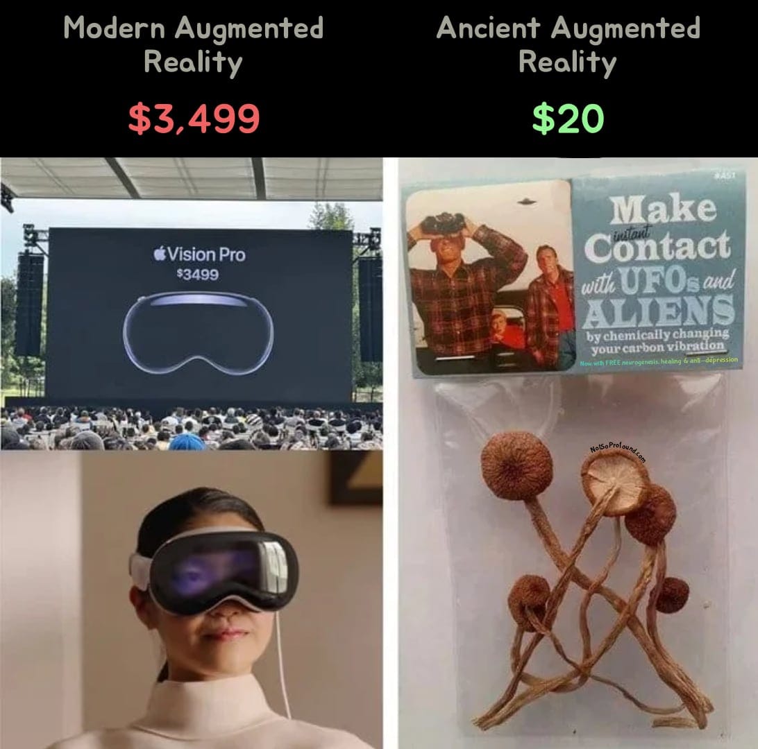 Modern Augmented Reality vs. Ancient Augmented Reality - Funny Apple Vision Pro & Magic Mushrooms Meme