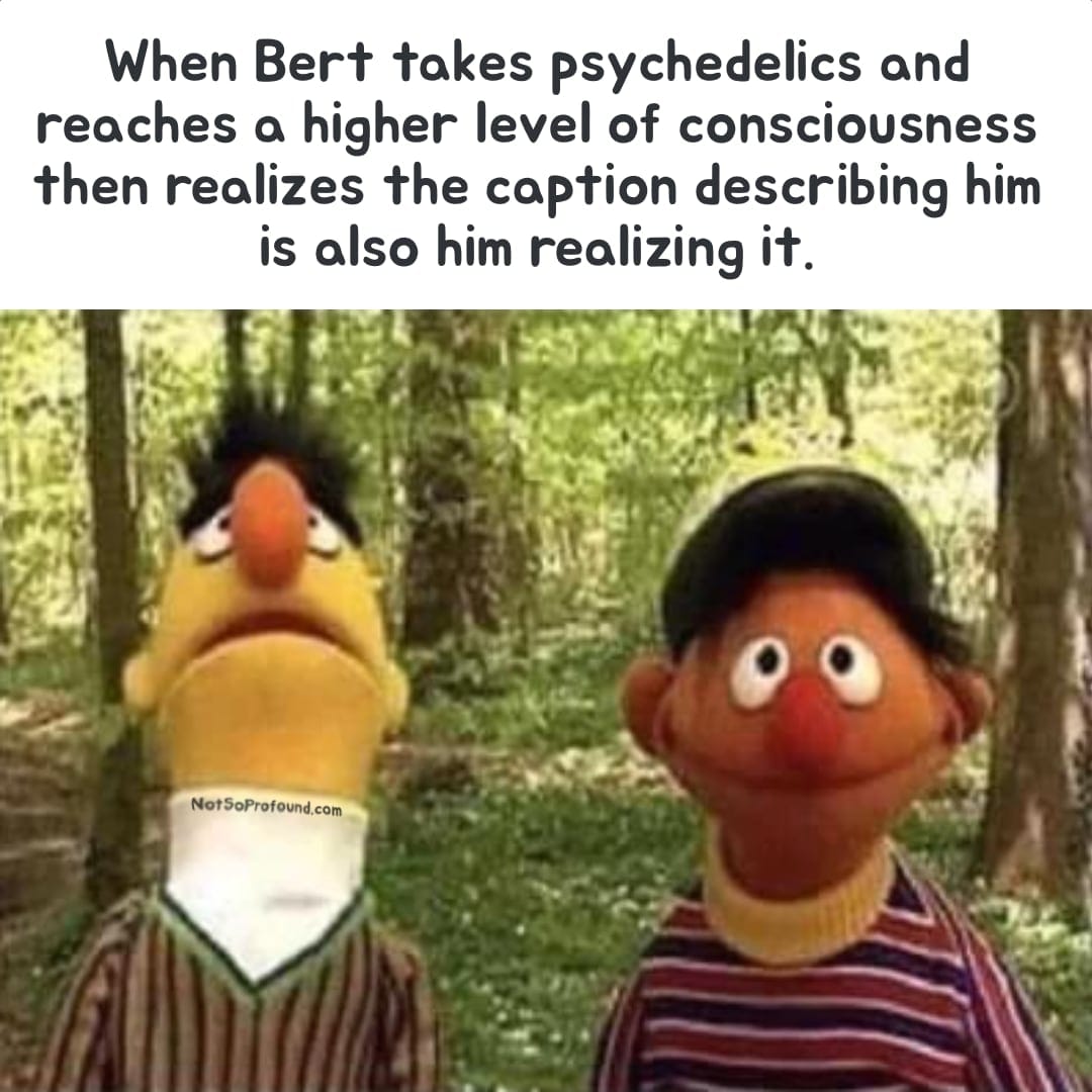 Funny psychedelics meme feature Bert and Earnie