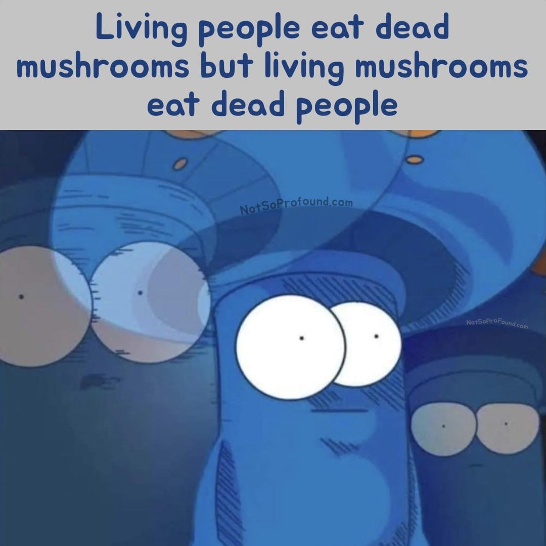 Living people eat dead mushrooms but living mushrooms eat dead people - funny psilocybin magic mushroom meme
