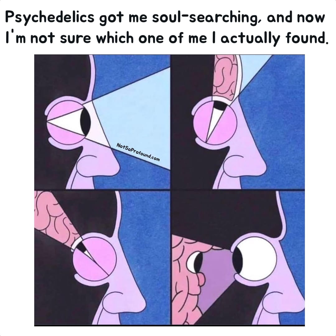 Funny psychedelics and spirituality meme about soul searching and introspection