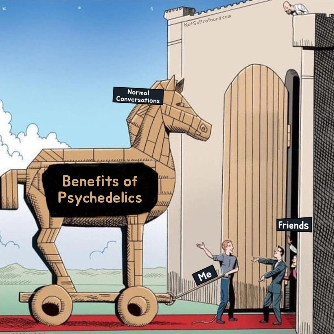 funny trojan horse meme about the benefits of psychedelics 