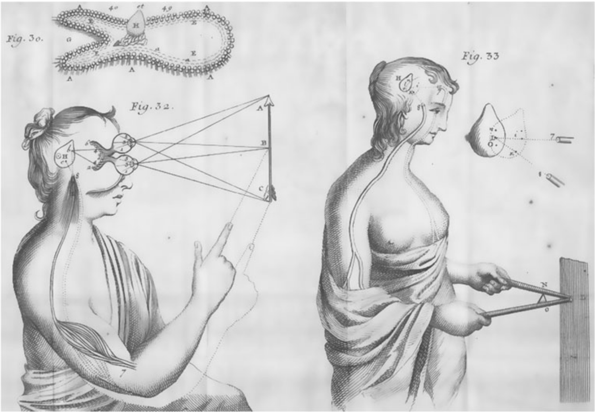 From Descartes' La Dioptrique published in 1637 showing the pineal gland and its connection to the nervous system. 